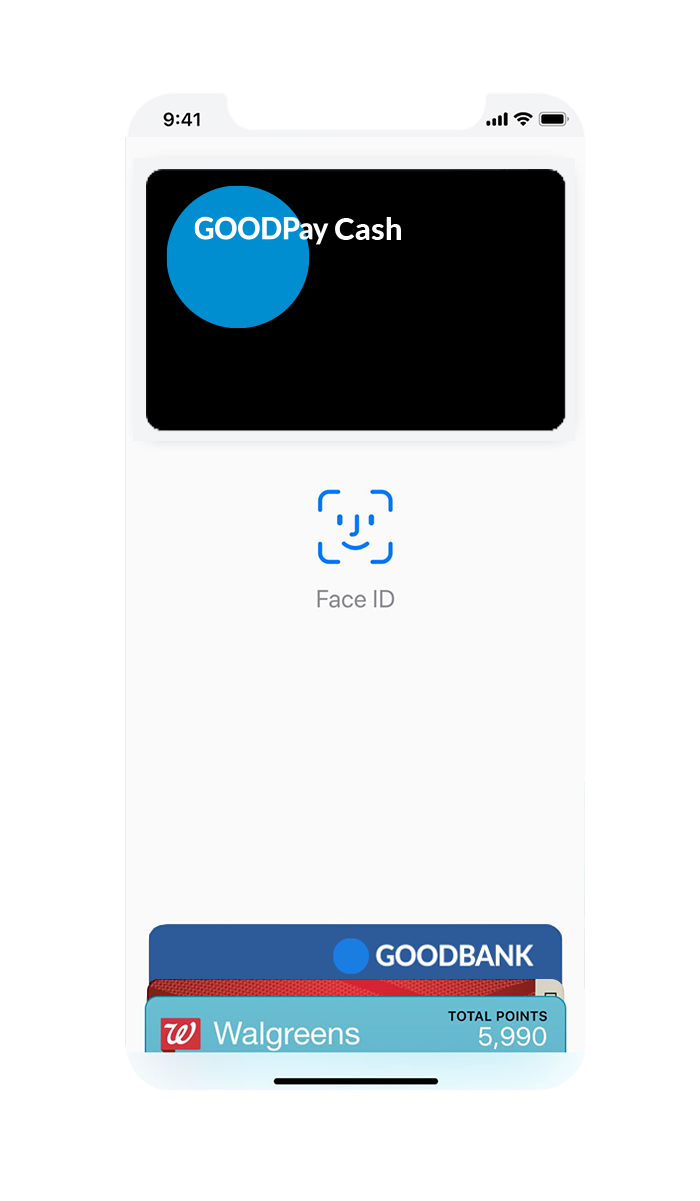 wallet6